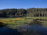 Mammoth Lakes 047